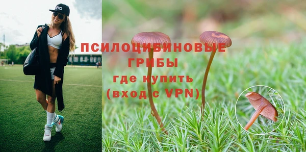 круглые Арсеньев