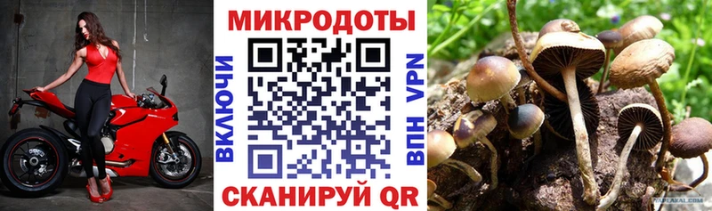 Галлюциногенные грибы Cubensis  Малгобек 